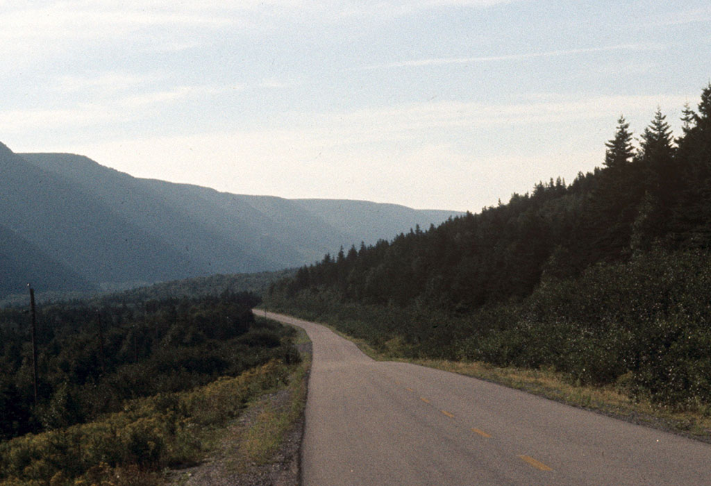 Film scan with DustNet applied - dust and scratches removed
