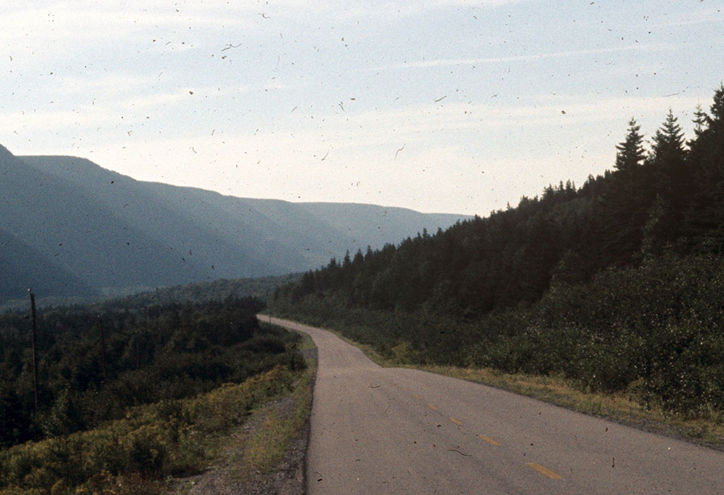Original film scan with visible dust and scratches